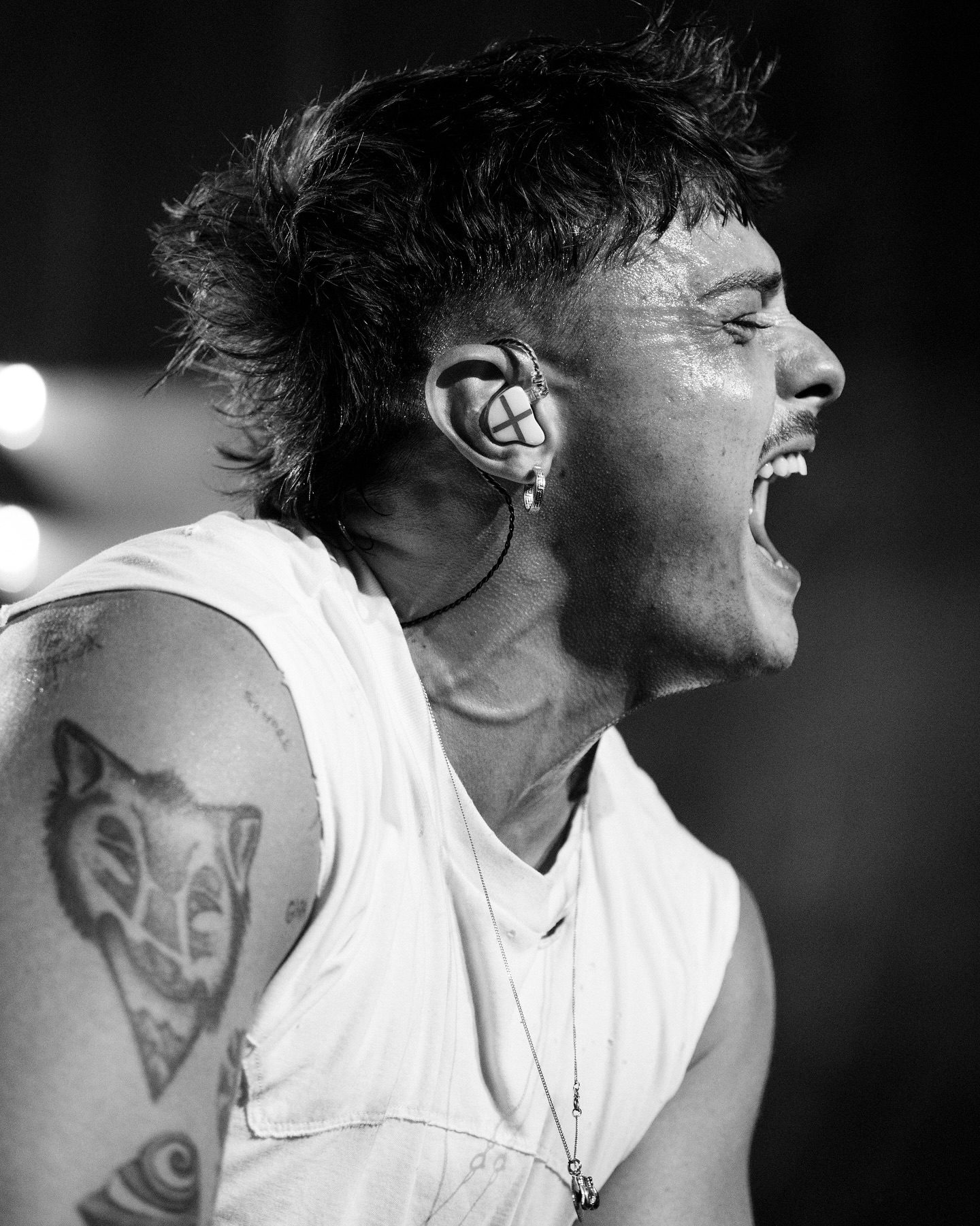 Olly