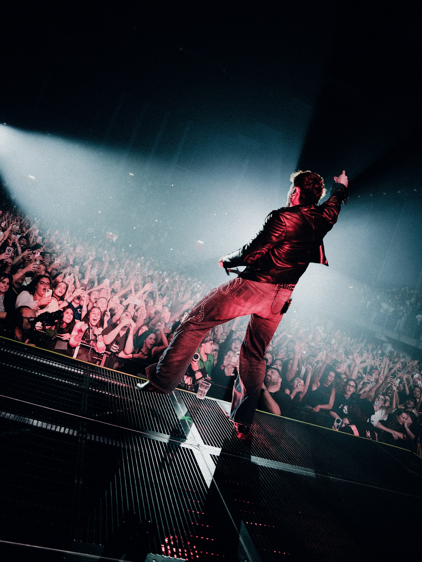 Olly